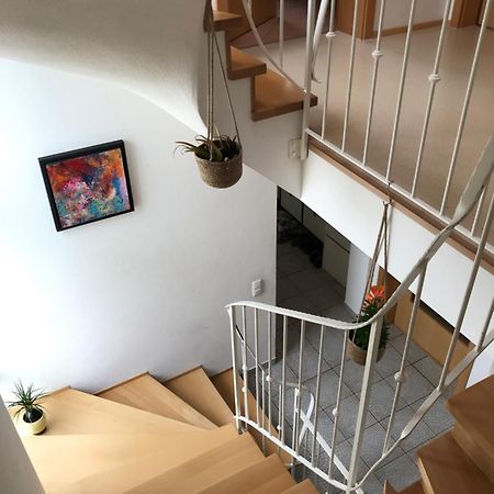 House With Castle View & Art Apartment Guenzburg Exterior photo